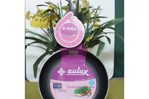 CHẢO SÂU LÒNG CHỐNG DÍNH AULUX NSIC- 20cm